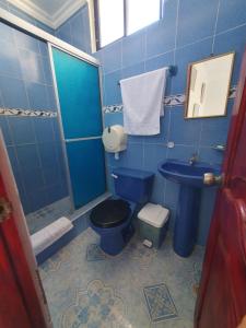 比亚米尔港Hostal Insular的蓝色的浴室设有卫生间和水槽