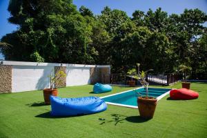 长滩岛Chillax Boracay的后院设有游泳池和盆栽植物