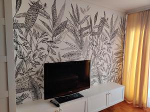 布达佩斯圣迈克尔公寓的壁纸房间橱柜里的电视