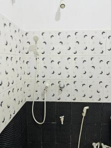 科伦坡Blue Lotus Garden Hotel piliyandala的墙上设有鸟淋浴的浴室