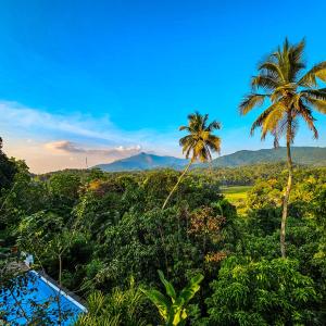 康提伽尔坎达瓦拉瓦酒店的棕榈树度假村享有山脉美景