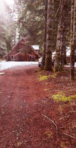 阿什福德Log Cabin at Rainier Lodge (0.4 miles from entrance)的树林中的小屋,有树木和车道