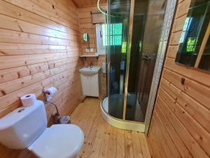 Pierzchno潘索耶纳西克花园旅馆的一间带卫生间和淋浴的浴室。