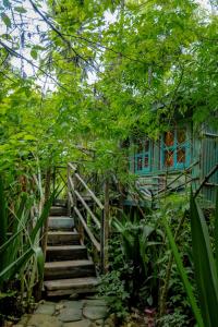 RuhengeriFravan Eco Resort By Apogee的通往一栋蓝色建筑的楼梯