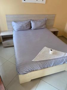 卢萨卡JUBILEE EXECUTIVE LODGE的一张床上挂着一卷卫生纸的床