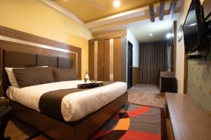 新德里Hotel Raaz Luxury Near Delhi Airport的一间卧室配有一张大床和一台平面电视