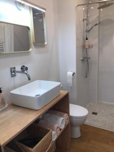 奥尔良LE JARDIN D'ALEXANDRE的一间带水槽、卫生间和淋浴的浴室