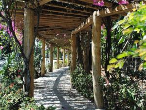 TikayDJ Paradise Hotel的花卉园内有木棚的走道