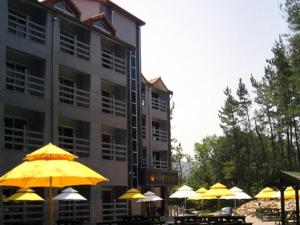 东海市Mangsang Haeorum Family Hotel的一组桌子,上面有黄色的伞,在建筑前