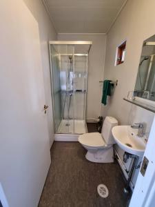 阿克雷里彼得堡宾馆的带淋浴、卫生间和盥洗盆的浴室