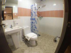 奥隆阿波Horizon Hotel的浴室配有卫生间、盥洗盆和淋浴。