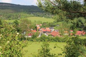 PlaueFerienwohnung Kleinbreitenbach的绿地中的村庄,有房子和树木