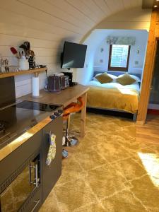 阿伯克拉夫Little London Bed & Breakfast and Glamping pod的带厨房的房间和一间带一张床的卧室