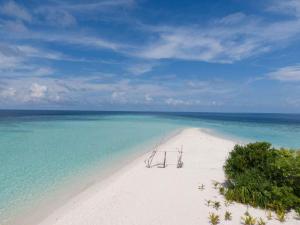 OmadhooTurtle Maldives的白色的沙滩上摆放着椅子