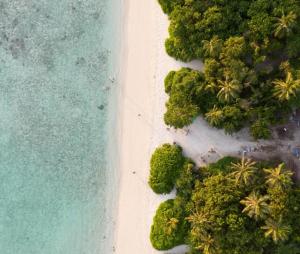 OmadhooTurtle Maldives的享有棕榈树海滩和大海的上方景色