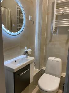 第比利斯Cultural Crossing Hotel的一间带卫生间、水槽和镜子的浴室
