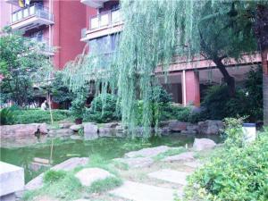 黄石City Comfort Inn Huangshi Wanda Plaza Huashan Road的一座花园,在一座建筑前设有一个池塘