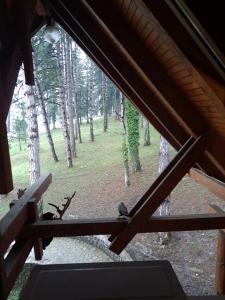 比哈奇Prenoćište/Restoran Lovac的从小屋的窗户可欣赏到森林美景