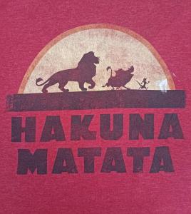努沃勒埃利耶Hakuna Matata的一本书,上面有狮子和两只猫的照片
