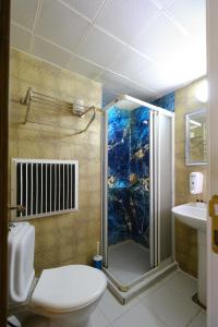 伊斯坦布尔HOTELOZBEK的带淋浴、卫生间和盥洗盆的浴室