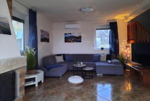 包道乔尼托毛伊Villa Prima Wellness Badacsony的客厅配有蓝色的沙发和电视