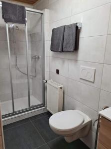 福伊希特旺根兹乌木格鲁恩沃尔德宾馆的一间带卫生间和玻璃淋浴间的浴室