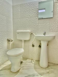 比拉特纳加尔Hotel Sova's Inn的一间带卫生间和水槽的浴室