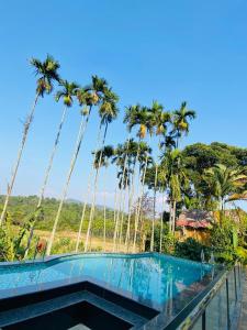马迪凯里Pool Villa of COORG的一座棕榈树环绕的游泳池