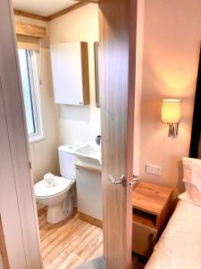 布德102, Duckpool Lodge的一间带卫生间和水槽的小浴室
