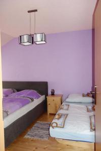 Jazdecký areál Budička的紫色墙壁客房的两张床
