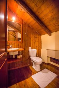 阿拉霍瓦勃朗峰别墅的木制浴室设有卫生间和水槽