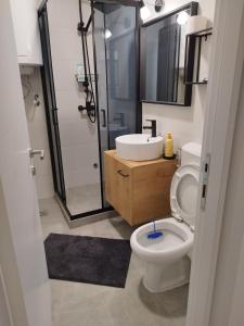 尼什Home apartment的浴室配有卫生间、盥洗盆和淋浴。