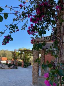 佩里那Casa rural Antonio y Esperanza的上面有粉红色花的凉亭