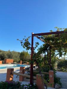 佩里那Casa rural Antonio y Esperanza的享有带树和长凳的游泳池的景色