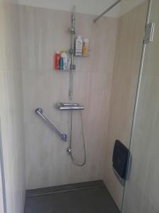 格拉茨Quiet Room with shared kitchen bathroom的一间带淋浴的浴室,墙上装有软管