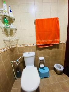 乌姆盖万Serene Nest的一间带卫生间和橙色毛巾的浴室