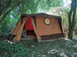 VrčinDifferent Belgrade camping的森林中间的帐篷