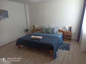 鲍洛托奈代里奇ROZINA Vendégház的一间卧室配有一张带蓝色毯子的床