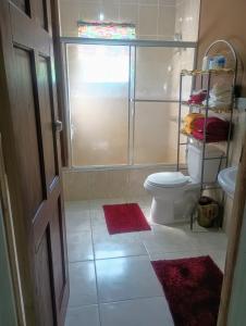BambooHill View Villas的浴室设有卫生间和红色地毯的盥洗盆。