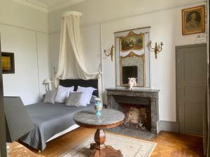 贝莱姆Château des Feugerets的一间卧室配有一张床和一个壁炉