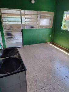 圣洛伦索Hostel Trem das águas的一间带水槽和绿色墙壁的浴室