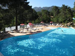 LecciCamping Mulinacciu的度假村内带椅子和遮阳伞的大型游泳池