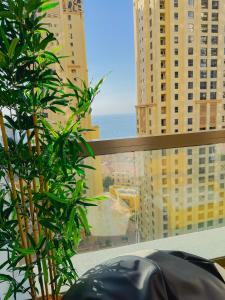迪拜The Female Journey Hostel - JBR的享有城市美景的大窗户