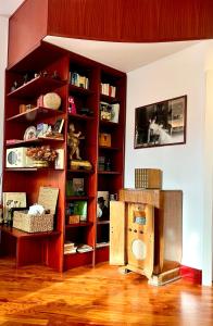 米兰Luxury Loft的客厅设有书架和电视