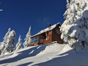 奥泊维森塔尔Die Adlerhütte的一座白雪覆盖的山顶上的建筑