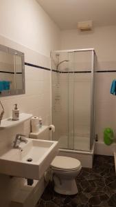 开姆尼茨凤凰旅馆的带淋浴、卫生间和盥洗盆的浴室