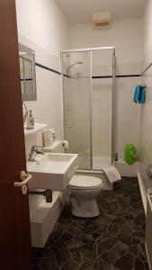 开姆尼茨凤凰旅馆的浴室配有卫生间、盥洗盆和淋浴。
