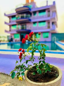 博帕尔Roshan Resorts的建筑前的盆子里的一朵红花