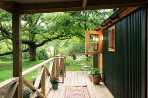格拉斯哥Shepherd's Rest Luxurious Hideaway的一条木道,通往一座种有植物的房子