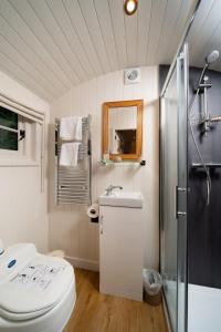 格拉斯哥Shepherd's Rest Luxurious Hideaway的浴室配有卫生间、盥洗盆和淋浴。